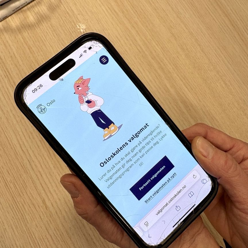 Grafisk brukergrensesnitt, applikasjon